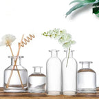Nexboraque 12 Pack Glass Bud Vases, Clear Small Vases in Bulk Decorative Glass Flower Bottles for Table Centerpiece, Home Decor, Office, Wedding Reception