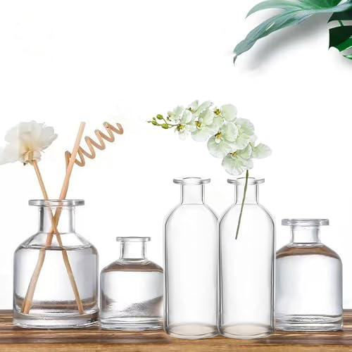 Nexboraque 12 Pack Glass Bud Vases, Clear Small Vases in Bulk Decorative Glass Flower Bottles for Table Centerpiece, Home Decor, Office, Wedding Reception