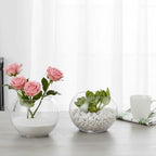 YOUEON 4 Pcs Small Glass Bubble Bowl Vases 6" W x 4.5" H, Round Floating Candle Holders, Glass Terrarium Bowls, Globe Flower Vase Centerpiece for Wedding Event Home Decor