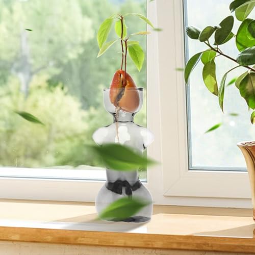 Propagation Vases for Plants Plant Propagation Jars Unique Body Avocado Vase Glass Planter Perfect for Seed Starting Water Rooting and Home Decor Gift for Father - color: Gray