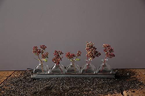 Creative Co-Op Decorative Iron Rectangle Tray with Handles & 5 Glass Vases