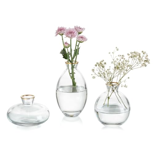 Bud Vases 3Pcs/Set Small Vases Handmade Cute Gold Rim Small Vases for Flowers Centerpieces Glass Vases Mini Vase Home Decor Centerpieces, Events Table Decor - color: Gold Rim, size: 1 Set