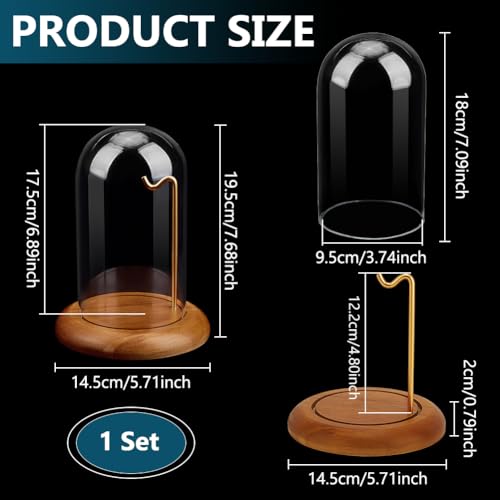 PH PandaHall Pocket Watch Glass Display Dome Cloche with Hook 5.7"x7.6" Watch Display Jar Clear Glass Dome with Wood Base Plant Watch Ornament for Watch Plants Medals Display Collectibles - size: 5.7x7.6 Inch