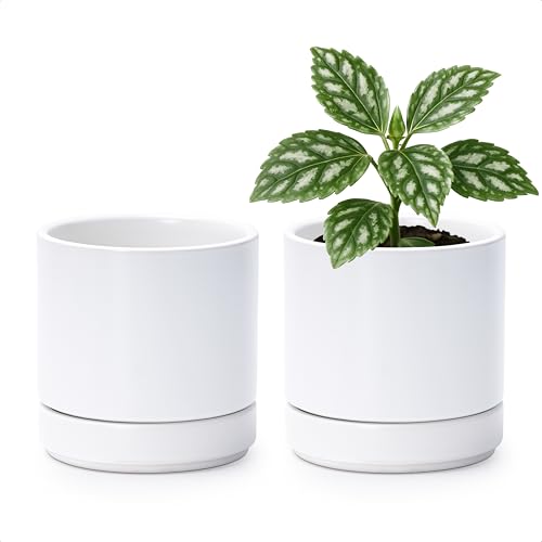 D'vine Dev Set of 2 Plants Pot, 4.7 Inch Ceramic Planter Pot for Plants with Drainage Hole and Saucer, White, 94-V-B-1 - color: White, size: 4.7 Inch
