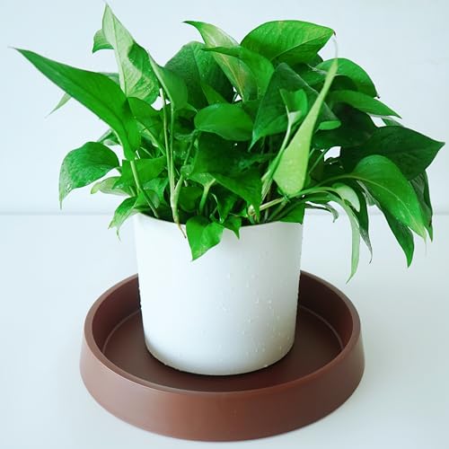 1 Pack Plant Saucer Tray for Ceramic Plastic Pots, 6 inch Plant Saucers for Indoors, Pot Saucers Trays, Flower Planter Water Drip Trays for Pots Base (6", Brown) - color: Brown, size: 6" (1 Pack)