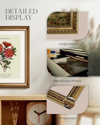 HUARCEY Vintage Camellia Floral Framed Canvas Wall Art 13x16, Embossed Gold Frame Classic Botanical Flower Illustration Print, Elegant Traditional Living Room Bedroom Home Decor - color: Camellia, size: 16"L x 13"W