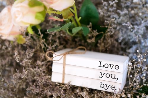 Cute Love You Bye Mini Wooden Faux Books, Express Love and Warm Family Sign for Office Front Door Bathroom Hallway Entryway Shelf Table Corner Decoration - color: Love You Bye