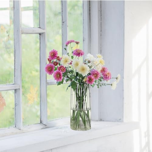 Gute 10 Inch Glass Vases for Decor, Flower Vase for Home Decor, Modern Decorative Clear Vase Centerpieces Living Room, Kitchen - size: 10inch