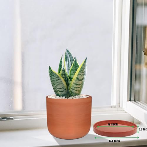 2 Pack Ceramic Plant Saucer Pot Tray 6 Inch Terracotta, Planter Saucers 6 7 8 9 10 11 12 15 Inch, Durable Sturdy Flower Drainage drip Water Tray for Glazed Pots Base (6.4 Inch- Red Terracotta) - color: Terracotta, size: 6.4in 2pack