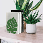 Peacoblue Metal Bookends for Shelves, Modern Decorative Heavy Duty Study Book Support Stoppers for Office, Desk, Shelf, Room 5.3"x4.3"x6.1" Cast Iron Simple Green Book Ends, 1 Pair (Monstera Leaf) - style: Monstera Leaf