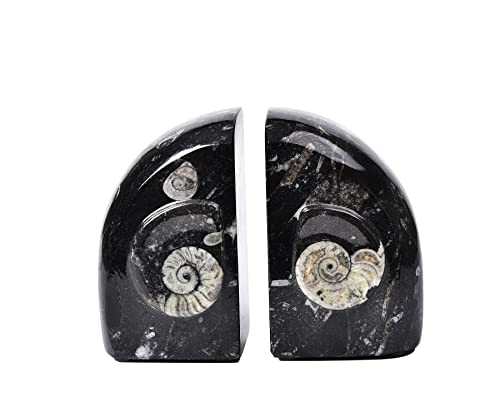AMOYSTONE Rock Bookends Weight Morocco Orthoceras Fossil Bookends 4-5 LBS for Home Office Books with Rubber Bumpers (1 Pair Height 4.7") - color: Black & White D, size: 4-5 Lbs