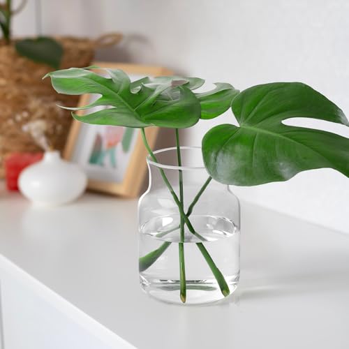 Clear Glass Vase, Large Flower Vase, 8-inch Glass Flower Vase for Plants, Wide Mouth Vase for Home, Wedding, Living Room, Dining Table - size: 6"W x 8“H