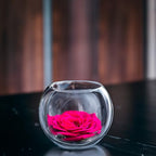 WGVi Clear Glass Tea Light Votive Candle Holder, Width 3", Height 2.5", Small Globe Bubble Bowl Round Vase, Tabletop Décor Container Terrarium, 1 Piece