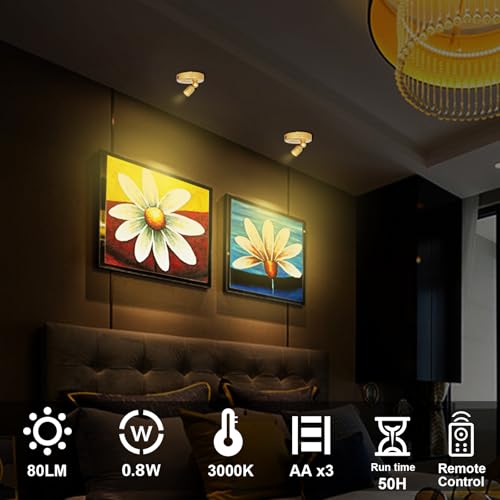 HAMVIDNE Indoor Spotlight, Battery Operated Spotlights with Remote, Picture Lights for Wall, Plant Tree Spotlight with Timer, Up Lights for Art Display Dartboard Painting Artwork Accent Frames-Gold - color: Gold