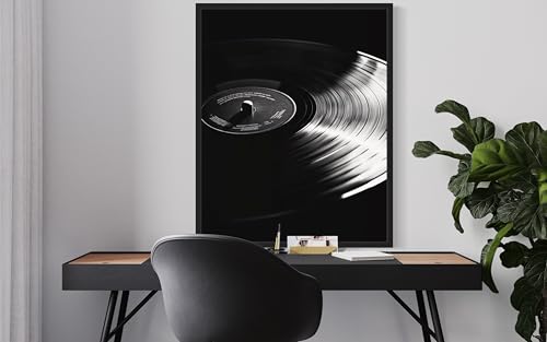 Vinyl Record Art Music Poster - Musical Instrumental Wall Art Print - Black and White - Photography Musical Art - Bedroom or Office Living Room Decor 137 (Vinyl Record, 16 x 20 inches, Unframed) - color: Vinyl Record, size: 20"L x 16"W