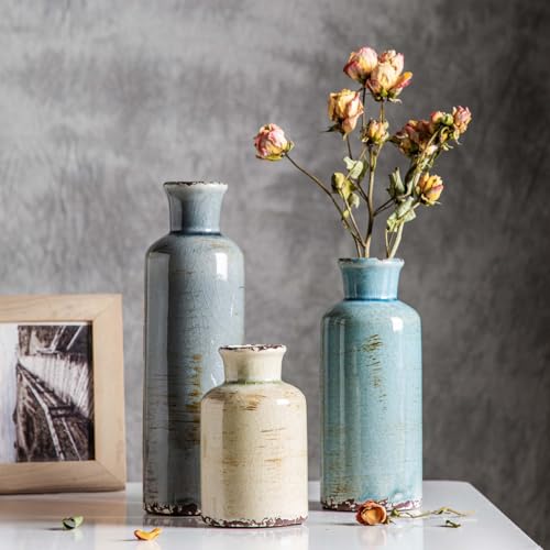 CwlwGO- Ceramic Vase Set of 3, Small Flower Vases for Home Decoration, Modern Farmhouse Decor, Living Room Kitchen Table Centerpieces, Shelf, Mantel, Fireplace and Entrance Decorations-Multicolor. - color: Multicolored