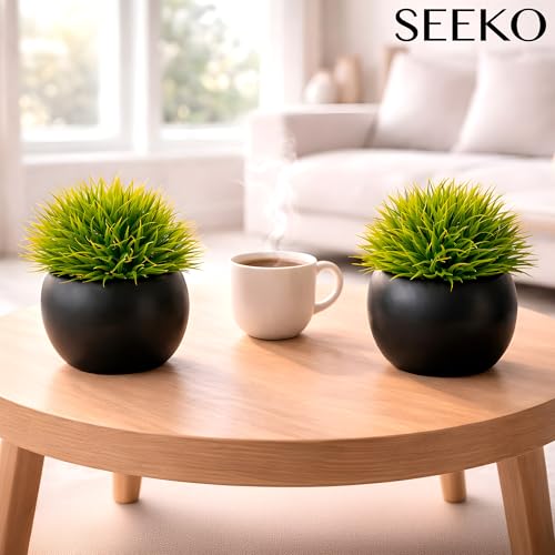 Fake Succulents Plants Artificial in Premium Ceramic Pots (2 Pack Round) Realistic Faux Succulents for Bathroom, Home & Office Décor - style: 2 Pack Round