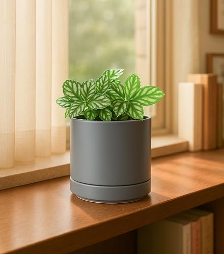 D'vine Dev Set of 2 Plants Pots, 4.7 Inch Ceramic Planter Pot for Plants with Drainage Hole and Saucer, Speckled Grey, 94-V-B-3 - color: Gray, size: 4.7 Inch