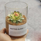 4 Inch Tall Clear Glass Cylinder Vase Flower Vase Decorative Table Centerpiece Arrangement Candle Holder High Hydroponic Floral Vase for Plants Bouquet Wedding Home Decor