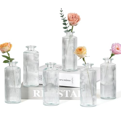 6PCS Mini Bud Vases As Vertical Wedding Centerpieces for Tables,Clear Bud Vases for Flowers,Small Flower Vases Suitable for Birthday Party,Anniversary,Wedding,Baby Shower (Clear-5.2in) - size: 6PCS