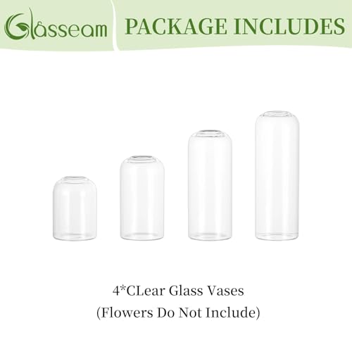 Glasseam Glass Bud Vase for Centerpieces, 4pcs Small Flower Vase Set for Single Rose Bouquet, Modern Minimalis Clear Table Centerpieces for Home Decor Living Room Bathroom Kitchen Wedding Party