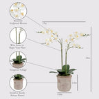 CG Hunter Faux White Orchid Plant, Premium Artificial Indoor Flower Display Stands 24”, Beautiful Sculptural Blooms That Lasts Forever, Grey Planter Pot Included - size: 24" White 2-Stem Orchid