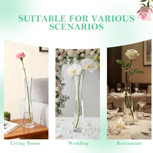 25cm/9.8inch Tall Clear Glass Thin Narrow Necked Bud Vase Slim Single Stem Flower Vase Floral Vase Centerpiece for Wedding Party Home Table Decor - size: 25cm/9.8inch