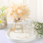 Bokon 12 Pcs Plastic Bud Vases in Bulk for Table Centerpieces, 4.7in Hyacinth Avocado Growing Bud Vase Bulk, Small Flower Bulb Plant Containers for Wedding Room Table Decorations (Straight Style) - style: Straight Style