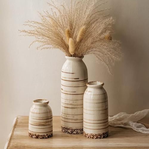 Rustic Ceramic Vase Set of 3 - Beige Rustic Vases for Flowers,Farmhouse Flower Vases for Home Decor,Small Decorative Vase Set for Living Room,Table Shelf,Centerpieces and Fireplace Decorations - color: Beige, size: Set of 3 (8.54 IN, 5.82 IN, 3.93 IN)