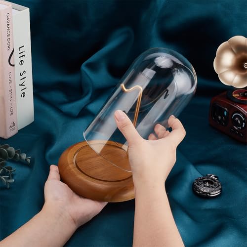 PH PandaHall Pocket Watch Glass Display Dome Cloche with Hook 5.7"x7.6" Watch Display Jar Clear Glass Dome with Wood Base Plant Watch Ornament for Watch Plants Medals Display Collectibles - size: 5.7x7.6 Inch