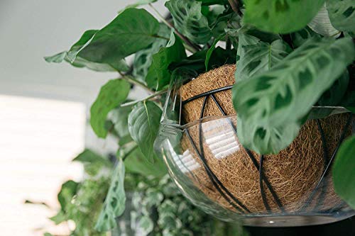 Curtis Wagner Plastics Wire Coco Hanging Basket Drip Pans (5-Pack) | Clear, Round (12” - 14" Top, 3.75" Depth) Hanging Plant Tray Saucer with Built-in Hooks & Water Catcher for Indoor & Outdoor - color: Coco, size: 12"