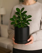 D'vine Dev Set of 2 Plants Pots, 6.5 Inch Ceramic Planter Pot for Plants with Drainage Hole and Saucer, Black, 94-V-C-2 - color: Black, size: 6 Inch