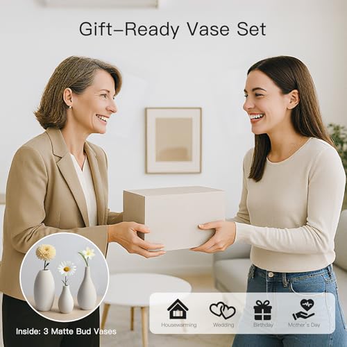 BEAHOT Ceramic Vases Set of 3, Modern Decorative Flower Vases for Living Room - size: 3 set