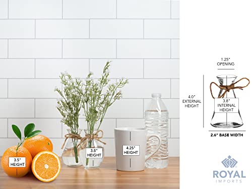 Royal Imports Clear Glass Bottle Bud Vase, Small Single Stem Flower Centerpiece, Mini Decorative Floral Jars, Rustic Farmhouse Home Decor, Kitchen, Fireplace, Shelf, Narrow One Rose Holder, Set of 4 - size: Small (Set of 4)