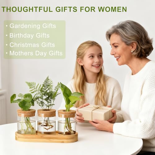 3Pcs Propagation Stations, Plant Terrarium with Lid and Wooden Stand,Desktop Glass Planter Hydroponics Vase,Home Office Living Room Decor Gifts - size: 8.7"L x 3.5"W x 4.7"H