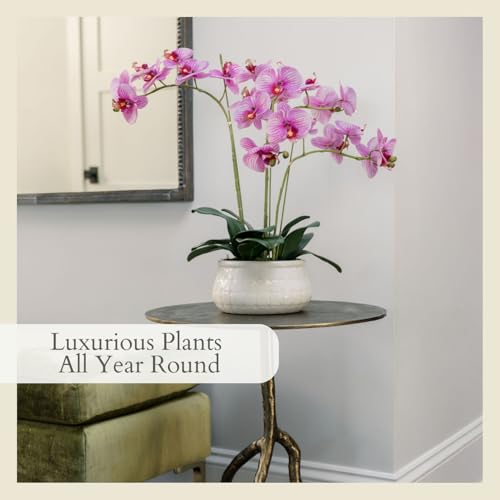 CG Hunter Faux Orange Orchid Plant, Premium Artificial Indoor Flower Display Stands 23”, Beautiful Sculptural Blooms That Lasts Forever, White Planter Pot Included - size: 23" Purple Orchid