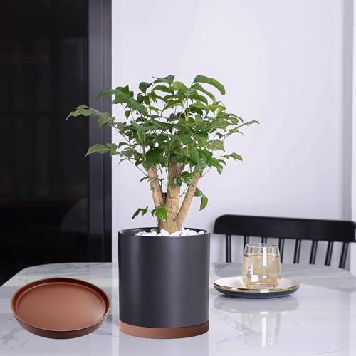2 Pack Ceramic Plant Saucer Pot Tray 6 Inch, Planter Saucers 4 5 6 7 8 9 10 11 12 13 Inch for Indoors Outdoor, Durable Sturdy Flower Drainage drip Water Tray for Glazed Pots Base (6.4 Inch-Brown) - color: Brown, size: 6.4in 2pack