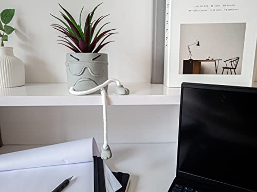 OLEEK Small Fake Plant Office Desk Decor - Desk Plants for Office Decorations for Work - Decorative Plants Decor - Funny Office Decor for Women - Fake Succulents Plants Artificial Home Decor Shelf - size: collection C (set of 3)