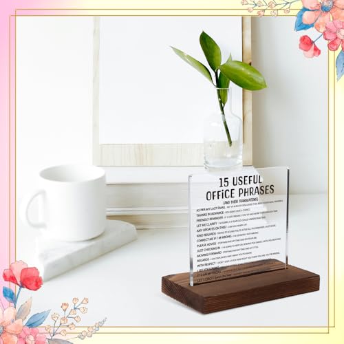 Silly Office Gifts for Women, Humorous Office Gifts for Coworkers, Managers, Sarcastic Office Gift for Coworkers, Managers,Modern Acrylic Desk Plaque, 10 x 10 x 1.5 cm,XXD63 - style: Coworkers1