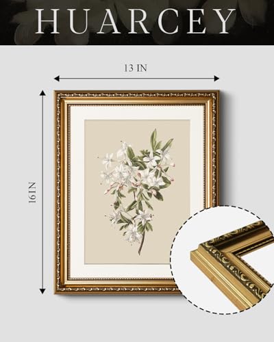 HUARCEY Vintage Floral Illustration Framed Canvas Wall Art 13x16 Inch, Ornate Embossed Gold Frame Classic Botanical Flower Print, Elegant Traditional Living Room Bedroom Office Home Decor - color: Azalea, size: 16"L x 13"W