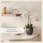 CG Hunter Faux White Orchid Plant, Premium Artificial Indoor Flower Display Stands 25-Inches with Beautiful Sculptural Blooms and Foliage That Lasts Forever, Grey Planter Pot Included - size: 25" White Double Stem