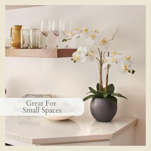 CG Hunter Faux White Orchid Plant, Premium Artificial Indoor Flower Display Stands 25-Inches with Beautiful Sculptural Blooms and Foliage That Lasts Forever, Grey Planter Pot Included - size: 25" White Double Stem