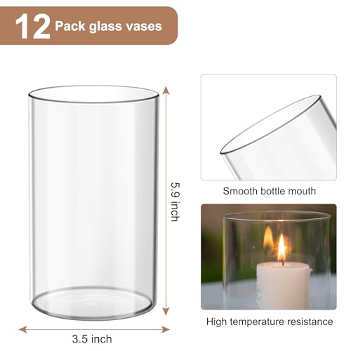Devilfire 12Pcs Glass Cylinder vases for Centerpieces, 6 Inches Tall Flower Vases Wedding Decorations,Bulk Cylinder Flower& Plant Vases,Hurricane Candle Holder for Table Shelf, Party.