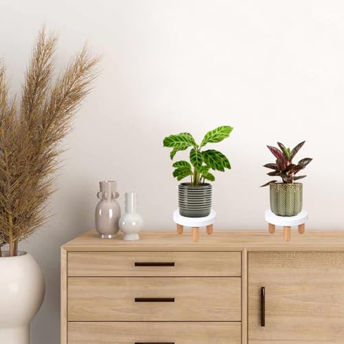 ARTORA Small Wooden Riser, Decorative Round Wood Desktop Plant Stand Mid Century Kitchen Counter Pedestal Stand for Centerpiece Pet Bowl Holder (White, 2 Pack) - color: White