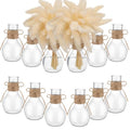 Bokon 12 Pcs Plastic Bud Vases in Bulk for Table Centerpieces, 4.7in Hyacinth Avocado Growing Bud Vase Bulk, Small Flower Bulb Plant Containers for Wedding Room Table Decorations (Mini Bulb Style) - style: Mini Bulb Style