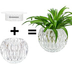 Glass Flowerpot, Planters,Vase, Hydroponic Flowerpot, Candy Bowl, Candlestick,Key Bowl,Decorative Bowls (A) - style: A
