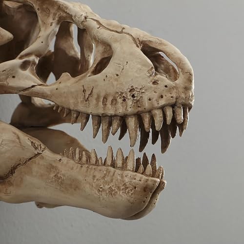 T-Rex Skull Wall Decor, Dinosaur Head Fossil Replica Wall Art, Realistic 3D Dinosaur Skull Wall Mount Sculpture for Living Room Bedroom Kids Room Home Bar Halloween Decor