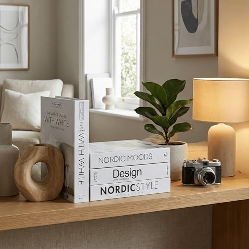 PROBENEX Mono Large | 4 PCS Faux Decorative Books for Home Decor | Not Real Books (Cardboard Boxes) | Coffee Table, Shelf Styling & Modern Aesthetic Accent Pieces for Living Room, Office - color: Mono_large