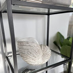 Nautilus Shell Sculpture - Replica Beach Themed Ocean Decor for Home - Rustic White Resin 10¼" x 6" x 8" Crafted Coastal Seashell Shelf Decor Gift-Boxed