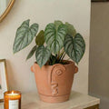 HERDUK 8 Inch Terracotta Abstract Face Planter with Drainage & Saucer – Large Artistic Statement Pot for Indoor & Outdoor Plants, Sculptural Boho Home Decor, Unique Art Gift - size: 8 Inch